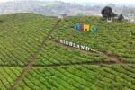 tempat wisata di bandung yang lagi hits